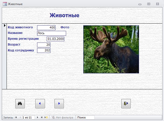 Животное по году рождения. Код животных. Код животных. Чита зверь. Структура кода микрочипа собаки.