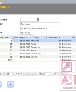 Готовая база данных Access Закупки