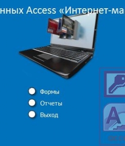 Готовая база данных Access Интернет-магазин