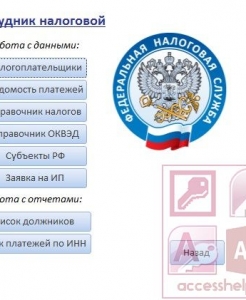 Готовая база данных Access Налоговая инспекция