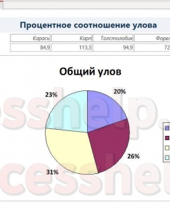 Готовая база данных Access Рыбалка Золотая Рыбка