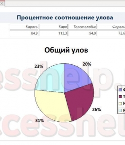 Готовая база данных Access Рыбалка Золотая Рыбка