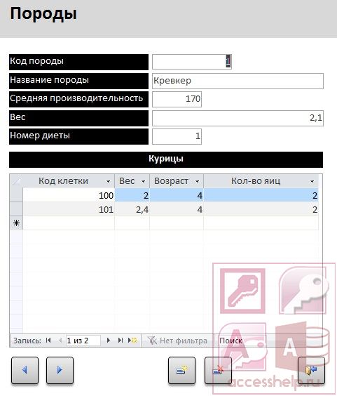 База данных Access Птицеферма