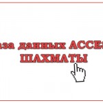 База данных Access Шахматы