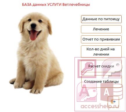 База данных Access Оказание услуг ветлечебницей