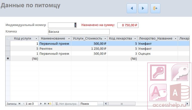База данных Access Оказание услуг ветлечебницей